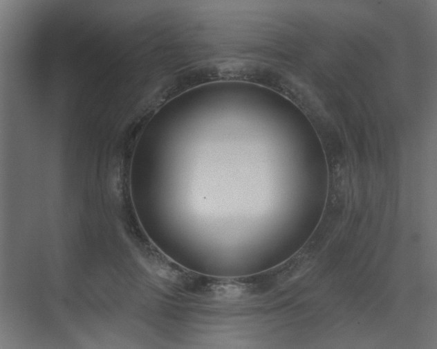 X0000075350698200609081150