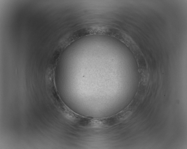 X0000075350701200609081150