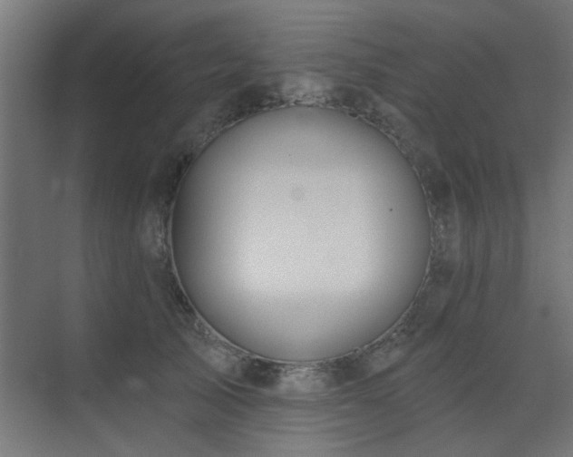 X0000075350705200609081150