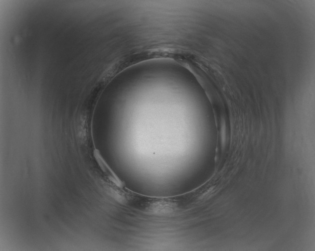 X0000075350708200609081149
