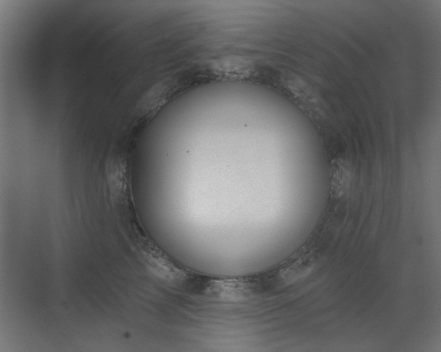 X0000075350713200609081149