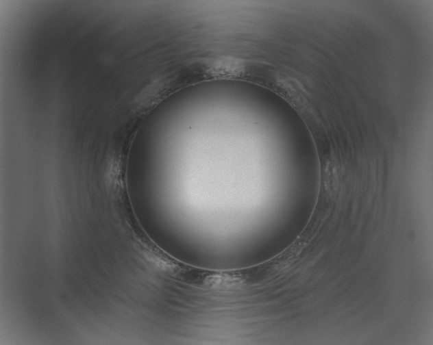 X0000075350714200609081149