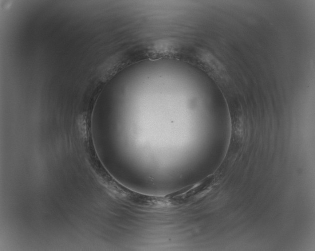 X0000075350715200609081149