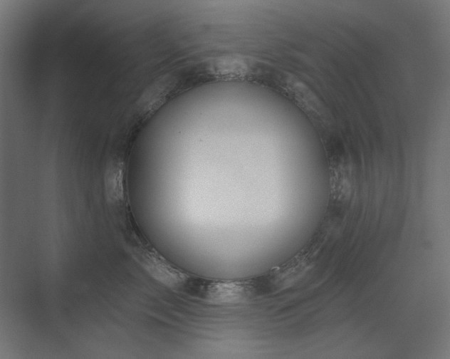 X0000075350717200609081149