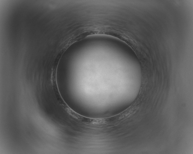 X0000075350720200609081149