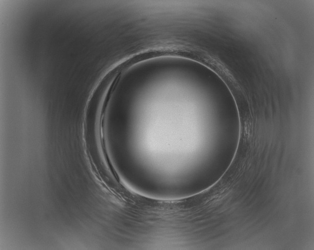 X0000075350724200609081149