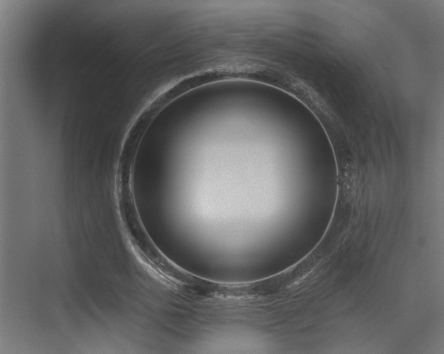 X0000075350726200609081149