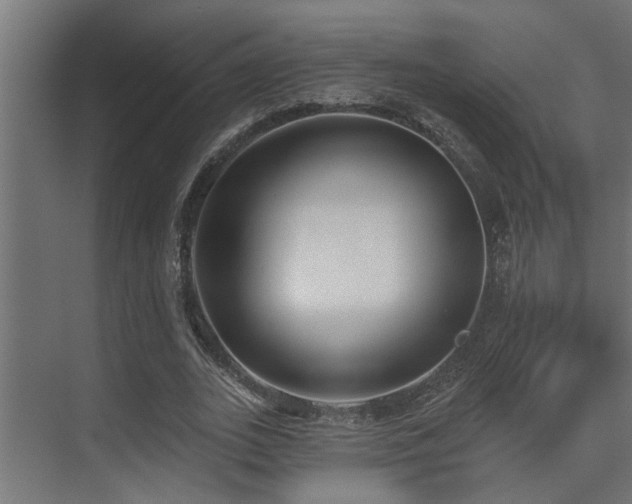 X0000075350727200609081149