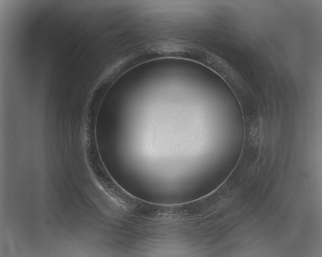 X0000075350732200609081149