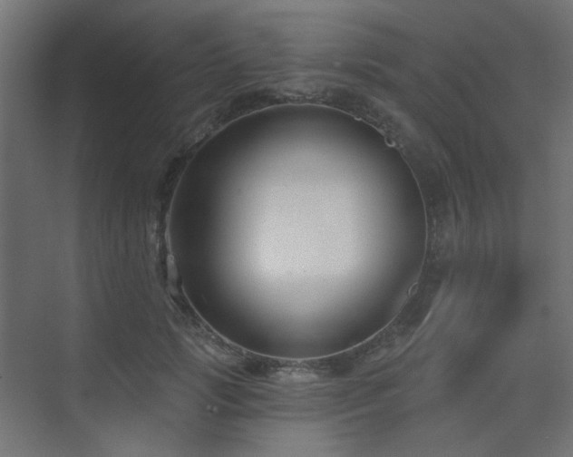 X0000075350749200609081149