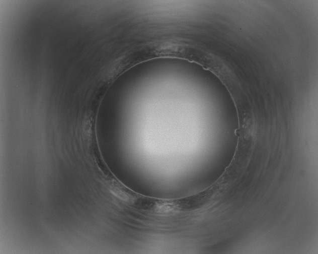 X0000075350753200609081149