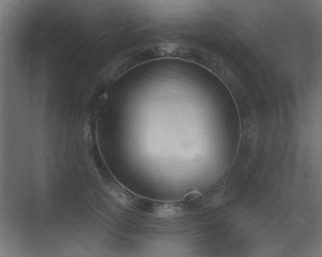 X0000075350754200609081149