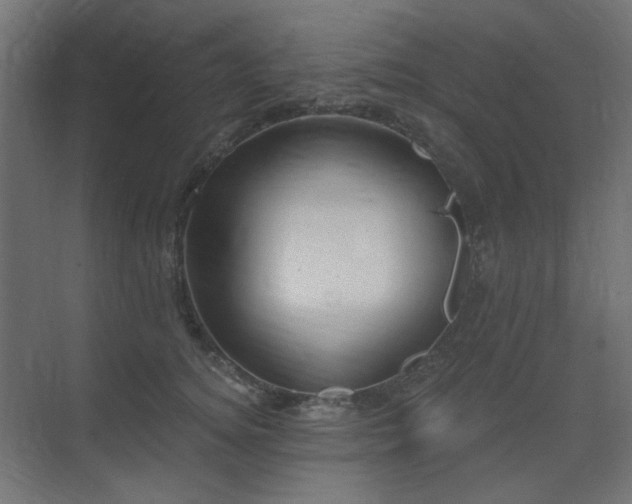 X0000075350756200609081149