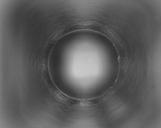 X0000075350758200609081149