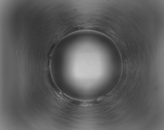X0000075350760200609081149