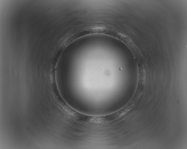 X0000075350762200609081149