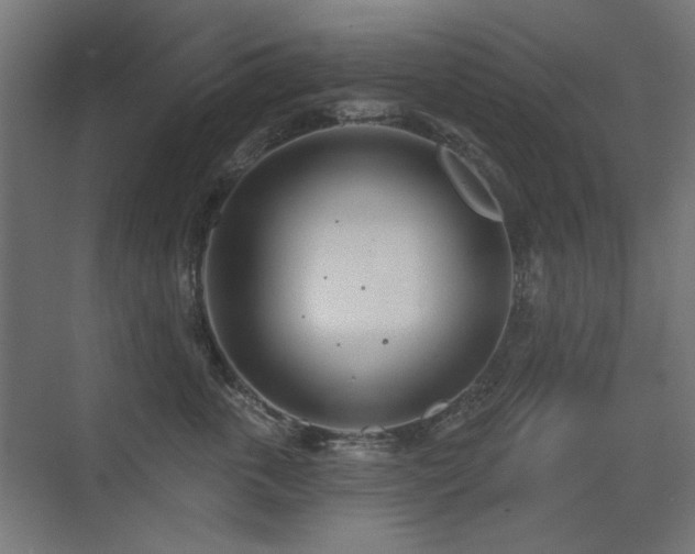 X0000075350763200609081149