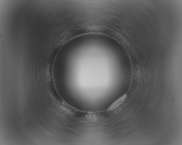 X0000075350764200609081149