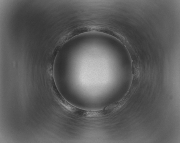X0000075350766200609081149