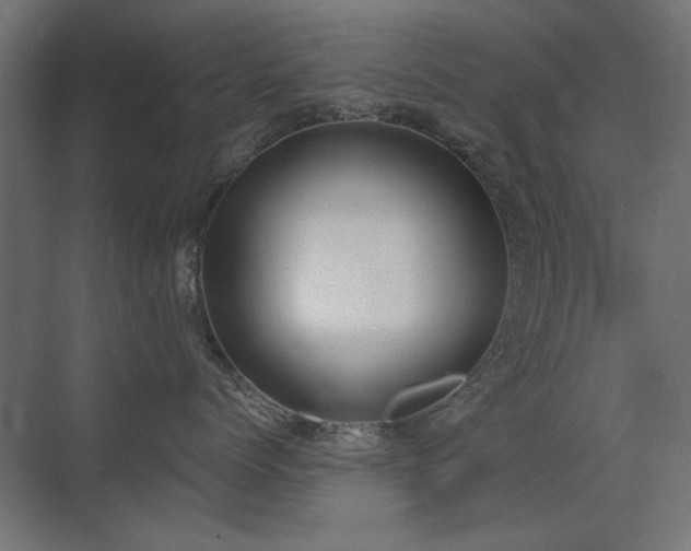X0000075350768200609081149