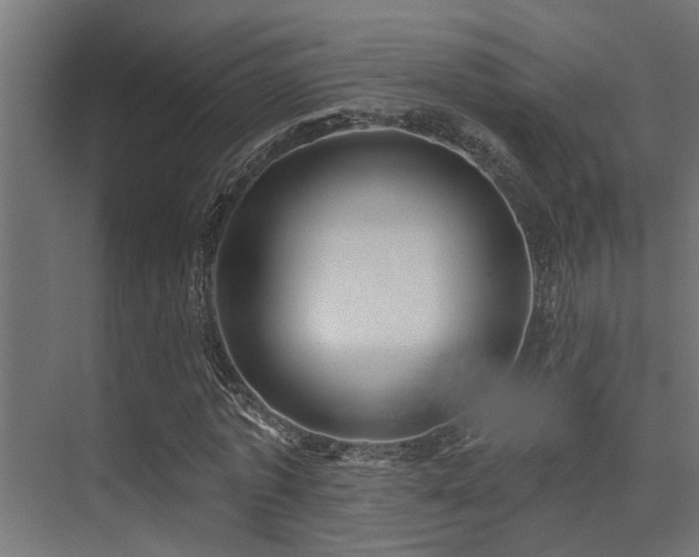 X0000075350773200609081148