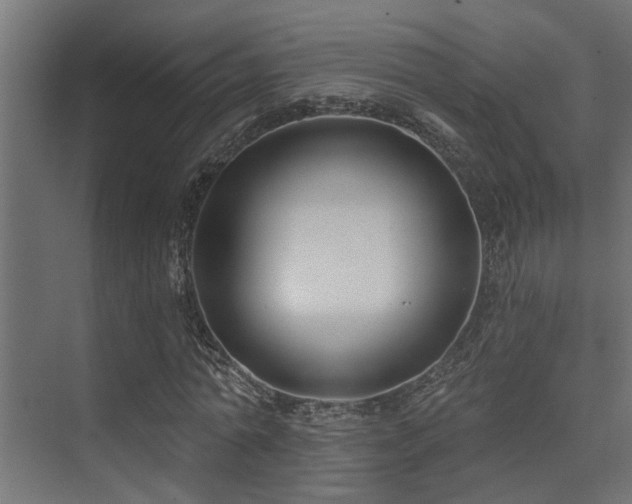 X0000075350774200609081148