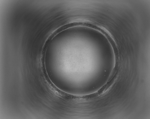 X0000075350783200609081148