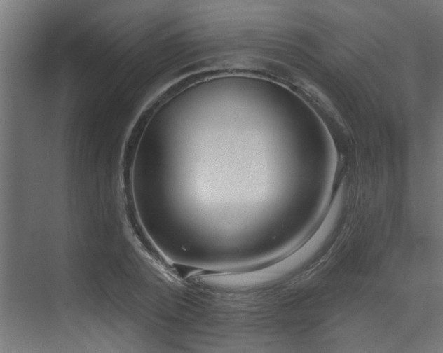 X0000075350784200609081148