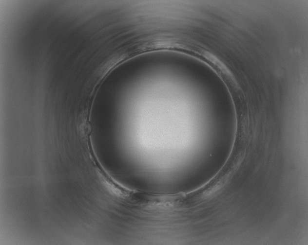 X0000075350801200609081148