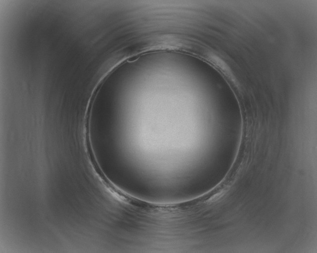 X0000075350802200609081148