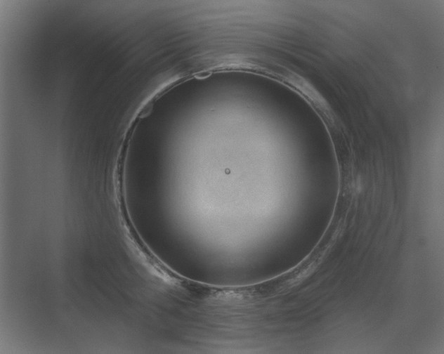 X0000075350806200609081148