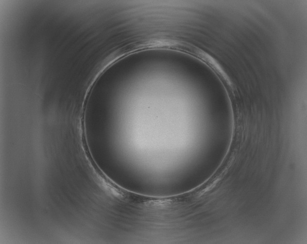 X0000075350810200609081148