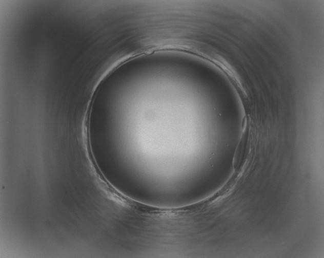 X0000075350814200609081148
