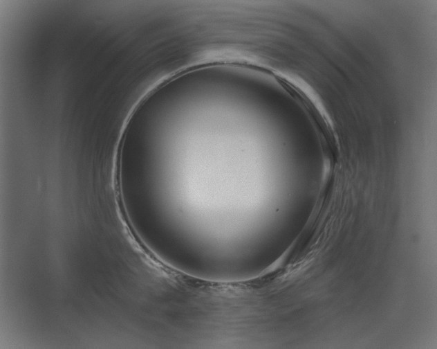 X0000075350815200609081148