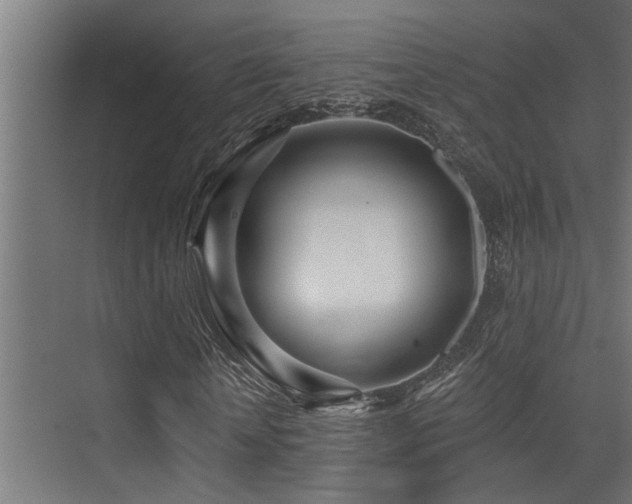 X0000075350818200609081147