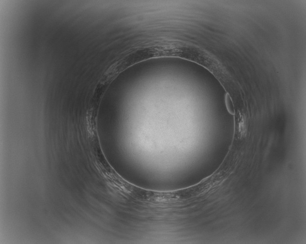 X0000075350819200609081147
