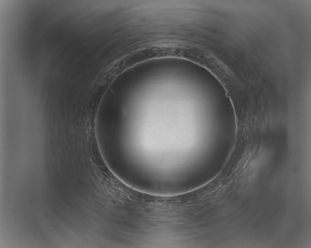 X0000075350821200609081147