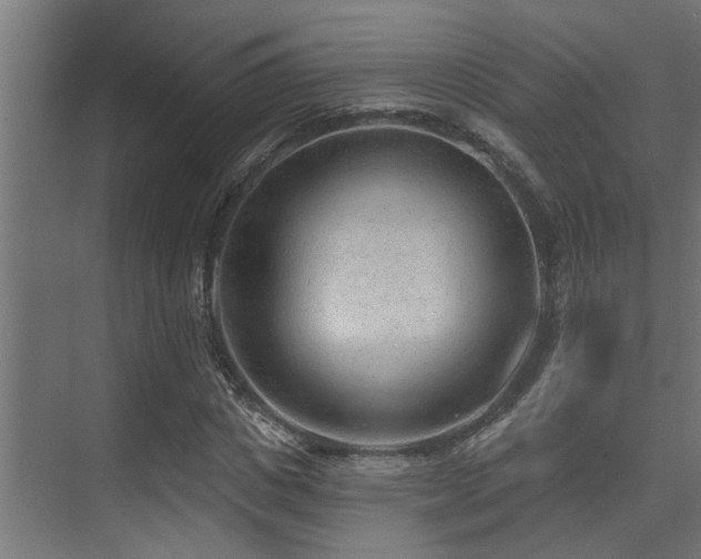X0000075350825200609081147