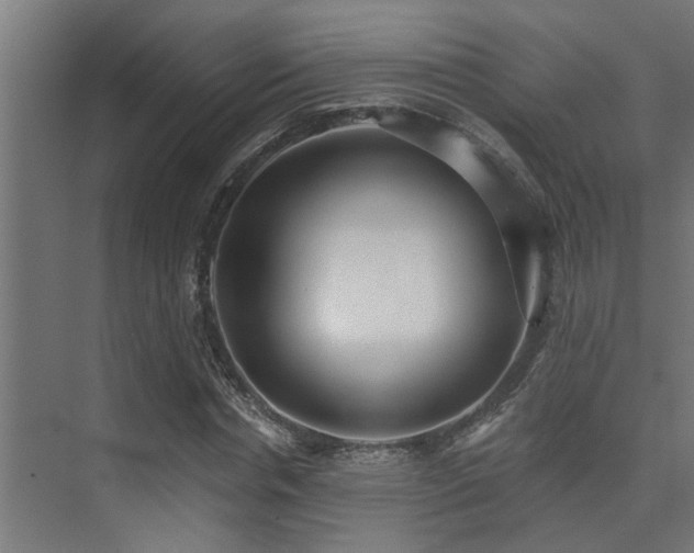 X0000075350826200609081147