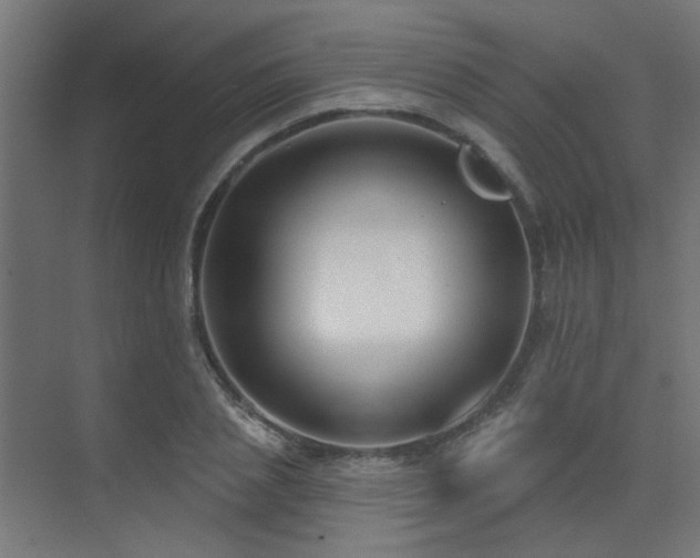X0000075350837200609081147