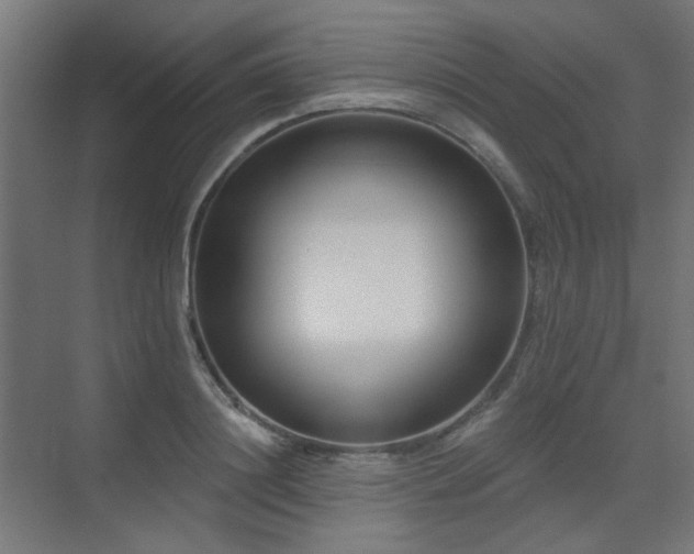 X0000075350844200609081147