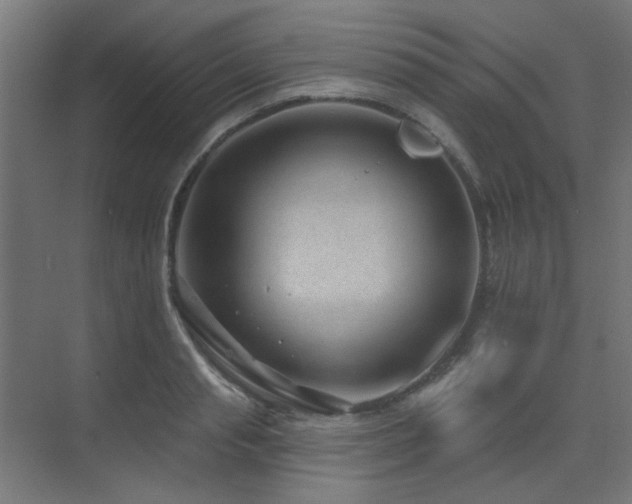 X0000075350845200609081147