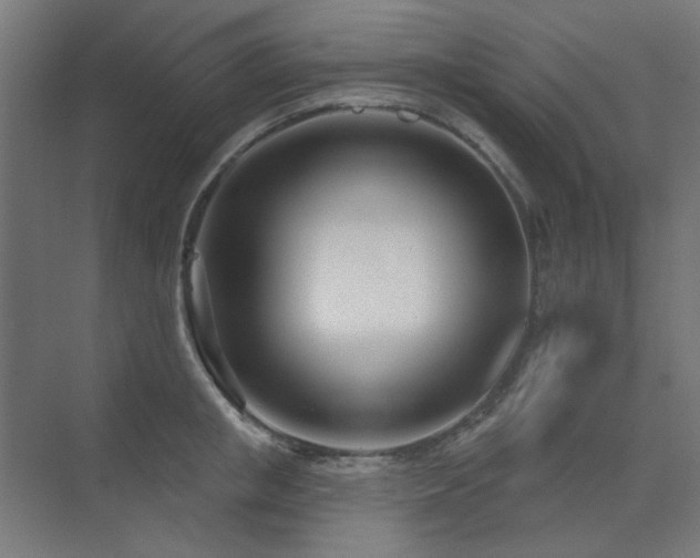 X0000075350853200609081147