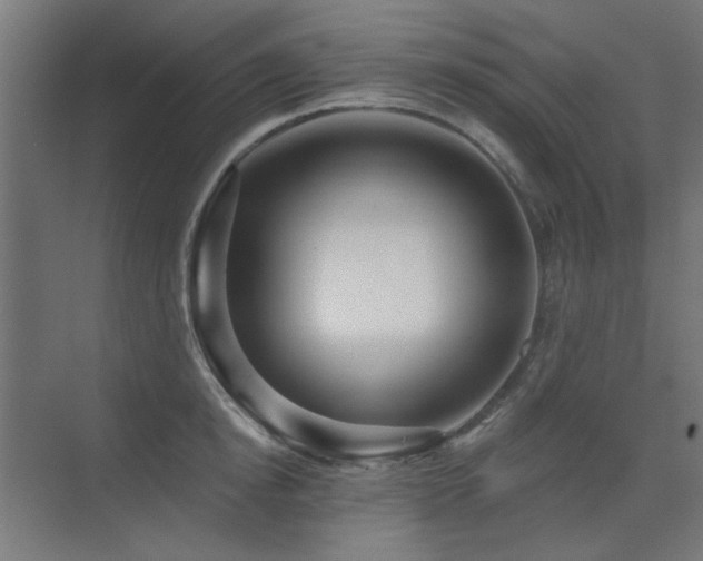 X0000075350854200609081147