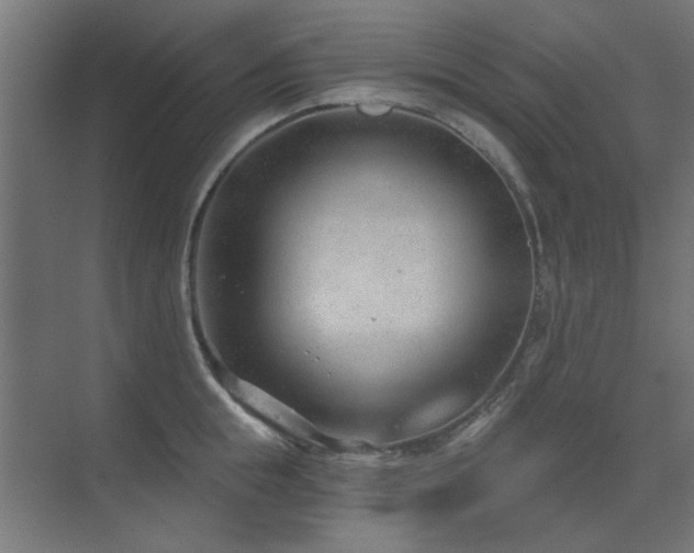 X0000075350855200609081147