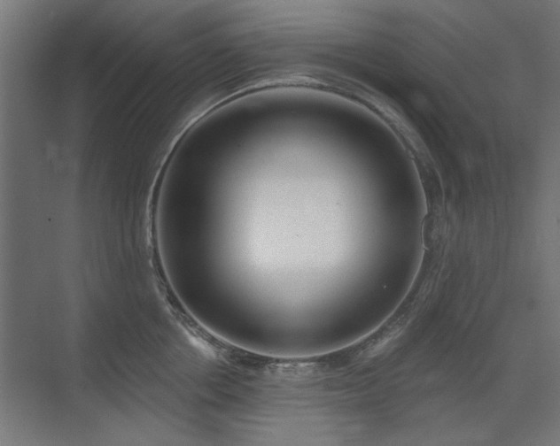 X0000075350858200609081148