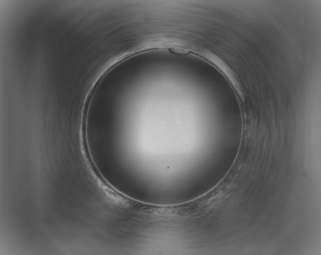 X0000075350861200609081148