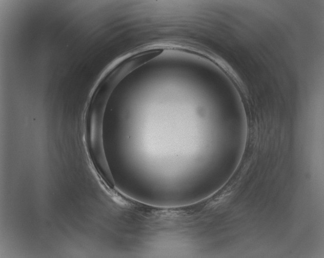 X0000075350862200609081148