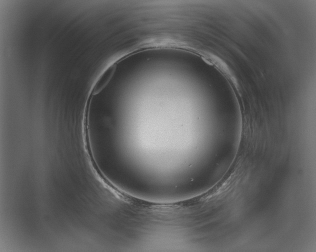 X0000075350863200609081148