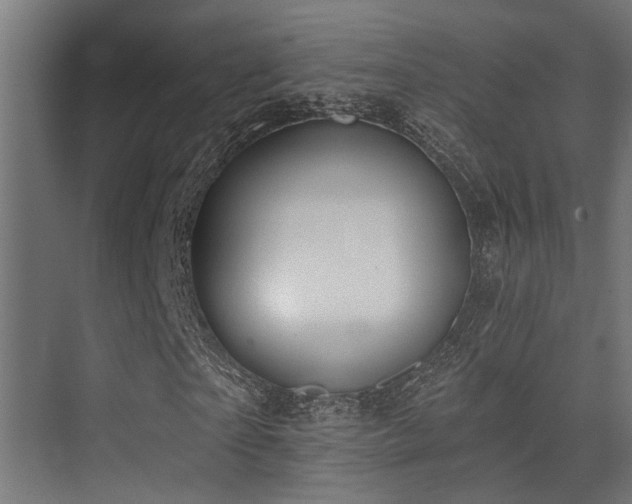 X0000075350865200609081147
